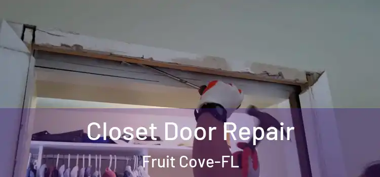  Closet Door Repair Fruit Cove-FL