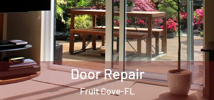  Door Repair Fruit Cove-FL