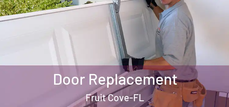 Door Replacement Fruit Cove-FL
