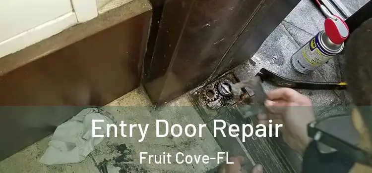  Entry Door Repair Fruit Cove-FL