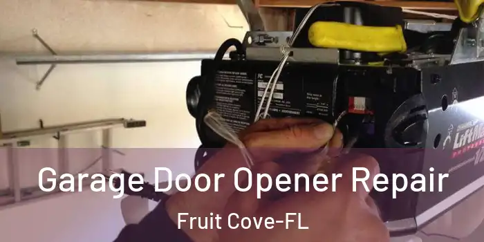  Garage Door Opener Repair Fruit Cove-FL