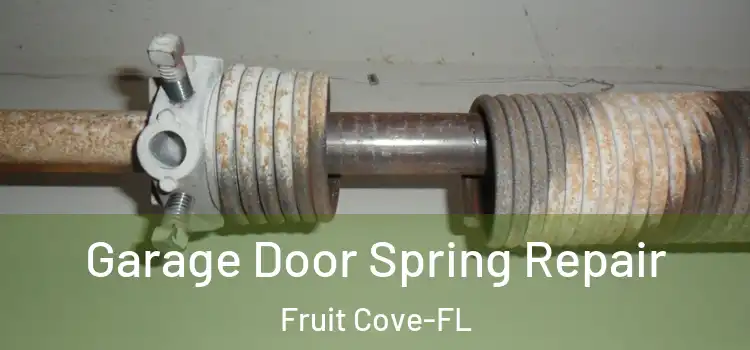  Garage Door Spring Repair Fruit Cove-FL