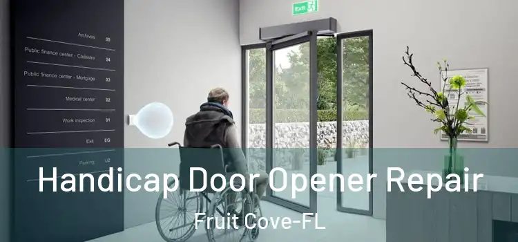 Handicap Door Opener Repair Fruit Cove-FL