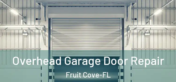  Overhead Garage Door Repair Fruit Cove-FL