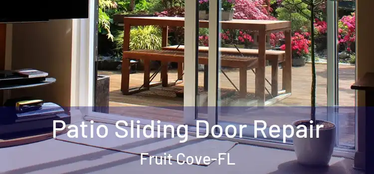  Patio Sliding Door Repair Fruit Cove-FL